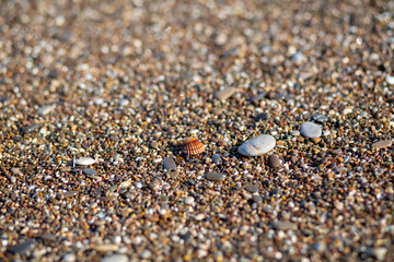 Small waves, sand particles and seashells by the sea
