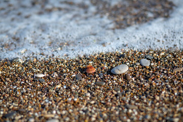 Small waves, sand particles and seashells by the sea