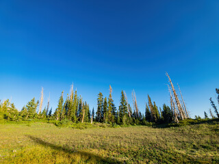 Beautiful landscape saw from Chessman Ridge Overlook of Cedar Breaks National Monument