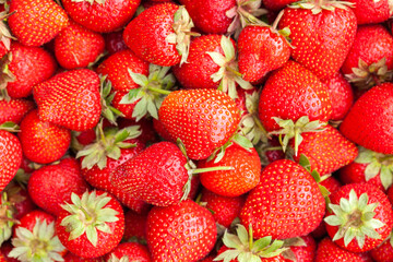 Freshly harvested Red Strawberries, Juicy Strawberries directly above