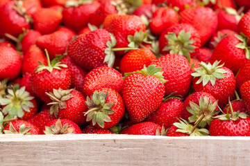 Freshly picked Strawberry in a wooden box. Sweet natural fruits in wooden crate.