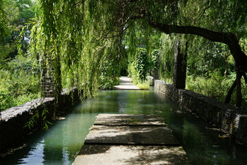 Idyllischer, grüner, sonniger Wasserlauf auf der Oderinsel Ziegenwerder