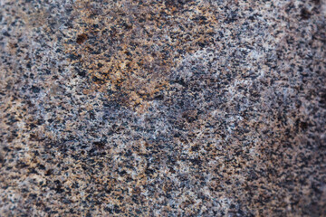 grey stone in the forest texture