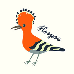 Vector illustration of a hoopoe