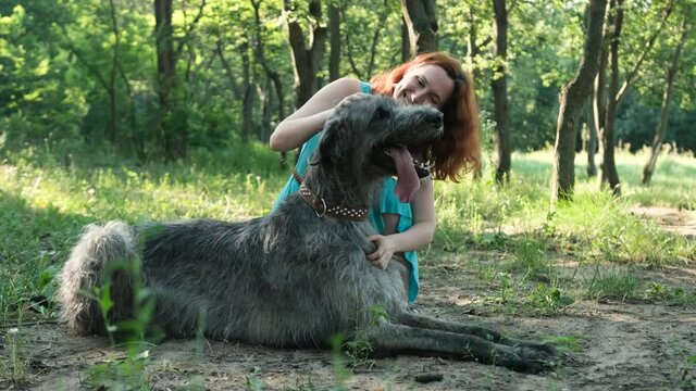Young woman having fun with her irish wolfhound dog during the walking in the park, woman training the dog. Friendship and animal care concept.