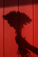 Red wooden background. Shadow bouquet of flowers in hand. Solar photography.