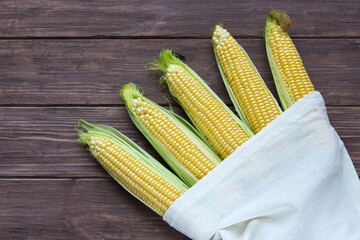 Ripe sweet corn on the cob in a white linen bag on a dark wooden background. Popular grain crops.