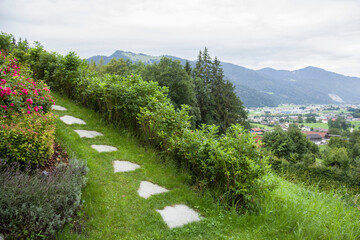 landscape design, a path of stones in the garden
