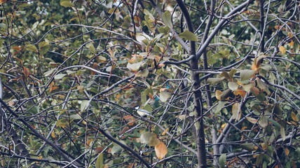 Processed with VSCOcam with a5 preset