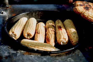 Grilled sweet burned corns on the grille, vegetable food background