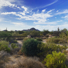 Obraz premium Desert Landscape