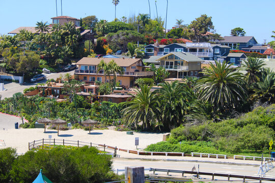 a gorgeous summer landscape at the beach with beachfront homes on a hillside covered with lush palm trees and plants at Moonlight State Beach in California USA