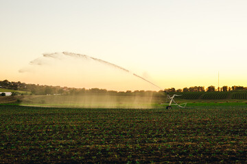 Field  irrigated a pivot sprinkler system at sunny day. Plant irrigation technology.  Agriculture development concept.