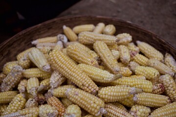 Sweet corn in a basket
