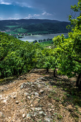 Obraz premium Heavy Thunderclouds Over Vineyards In Wachau Danube Valley In Austria