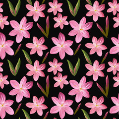 Floral seamless pattern made of pink flowers Acrilic painting with pink flower buds on black background. Botanical illustration for fabric and textile, packaging, wallpaper.