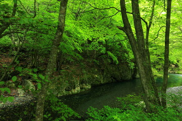 岩手県住田町　夏の鏡岩