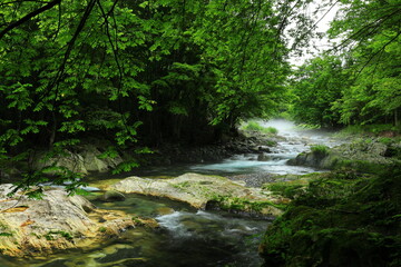 Obraz premium 岩手県住田町 夏の鏡岩