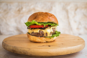 Homemade Burger sandwich with fries 