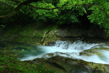 Obraz premium 岩手県住田町 夏の滝