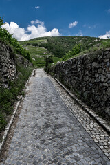 Fototapeta na wymiar Narrow Cobblestone Road Between Stone Walls To Hil With Vineyard Terraces In Wachau Danube Valley In Austria