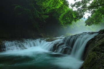 Obraz premium 岩手県住田町 夏の滝