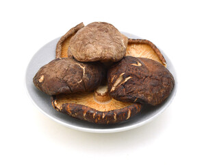 Dry Mushrooms isolated in plate on white background. Selective focus