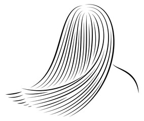 Straight beautiful girl hair. The lady is beautiful and stylish. Lamination and keratin hair straightening. Vector illustration.