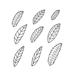A set of simple leaves drawn by a pen.