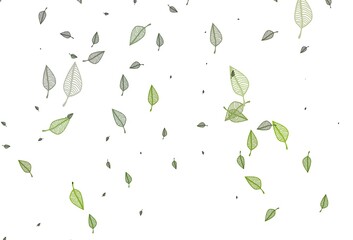 Light Green vector sketch pattern.