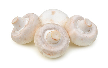 Champignon on a white background