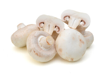 Edible button mushroom isolated on white background