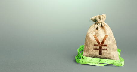 Yen Yuan money bag and measuring tape meter. Analysis of the economic situation. Assessment of capital. Declaration of income, illegal enrichment. Formation and optimization of the budget, savings.