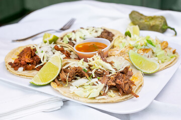 A view of a plate of street tacos, in a restaurant or kitchen setting.