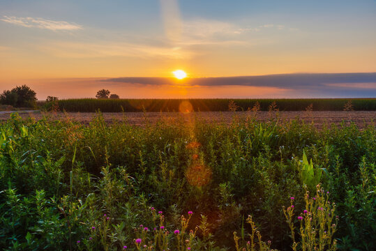 Sunrise over an agricultural field © nedomacki