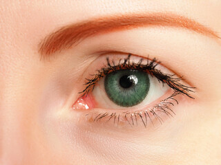 Fototapeta na wymiar Female left blue eye tinted in green colour with special contact lens