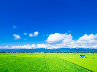 夏の信州　安曇野の田園風景