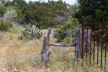 old fence meets new fence