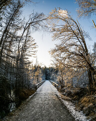 snow covered road in the forest in Tyresta national park, Sweden