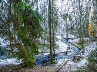 Small creek in a snow covered forest in Tyresta national park, Sweden