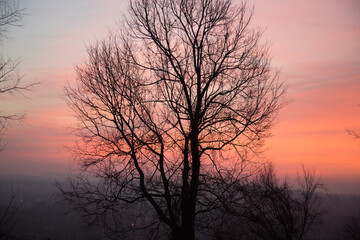 Fototapeta na wymiar A sunset with silhouettes of leafless trees near Richlandtown, Pennsylvania