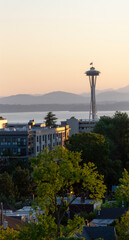 View of the Olympic Mountain Range in Washington State from Capitol Hill district in Seattle,...