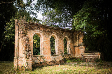 Fototapeta na wymiar Ruines,Jardin botanique, Kisantu, RDCongo