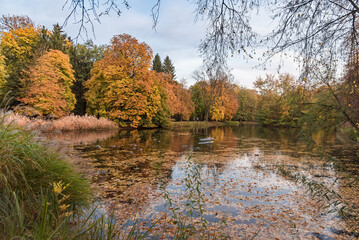 Obraz premium Autumn evening view of Royal Baths Park in Warsaw