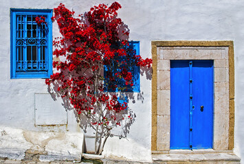 Blue door with a bright red tree in the streets of Sidi Bou Said located in northern Tunisia