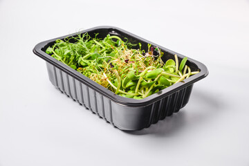 Microgreen in tray, Group of green sprouts growing out from soil, baby vegetables in sunshine.