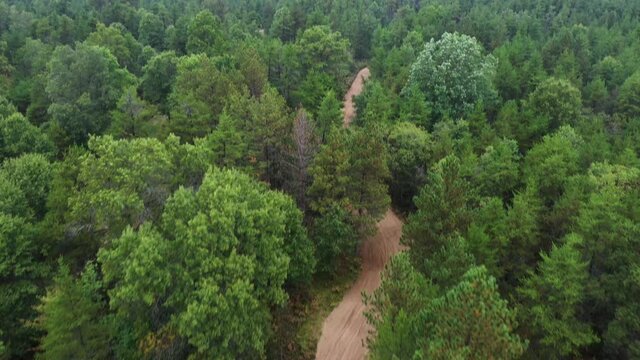 ATV driving through the woods in Northern Michigan