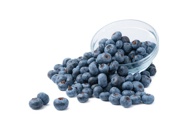 Close up of bowl full of blueberries isolated on white background. Ripe blueberry plate. Organic and healthy food.