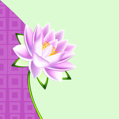 Illustration of a floral background with lotus.