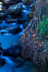 Small river at Itatiaia Park in Rio de Janeiro.